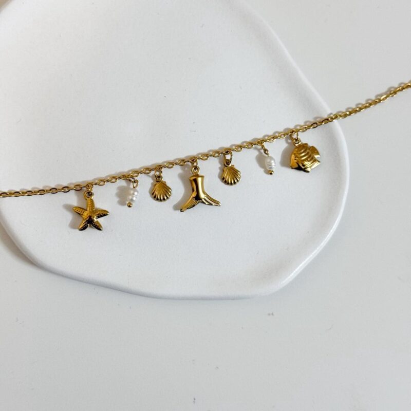 Pulseira para o pé charms
