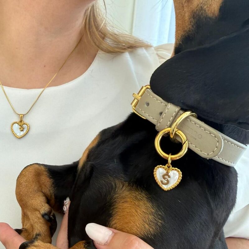Conjunto Medalha para Coleira Coração + Colar para Dono